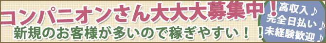 コンパニオンさん大募集中です!