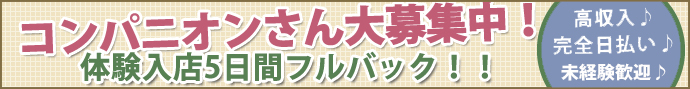コンパニオンさん大募集中です!